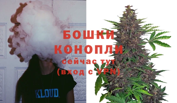 прущий лед Лиски